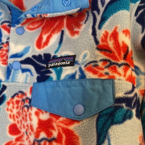 Patagonia - Picture 2 of 4